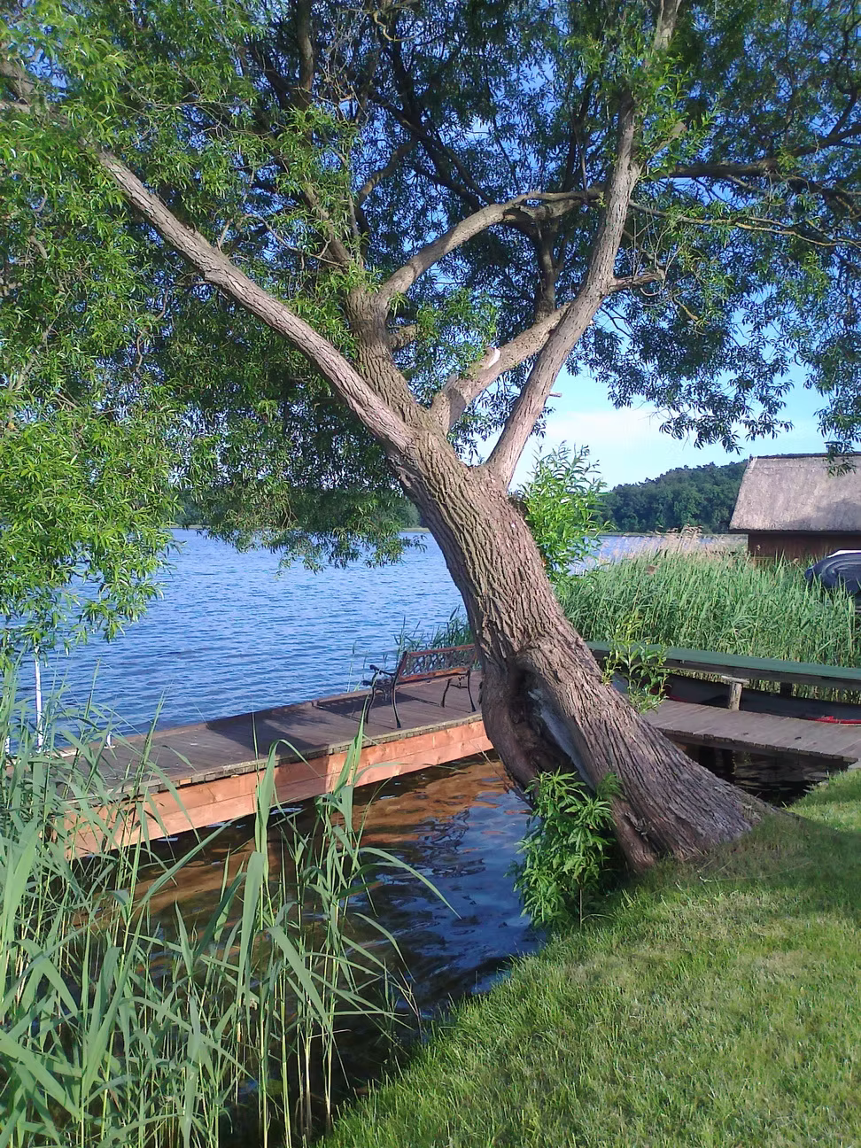 Hauseigener Bootsteg